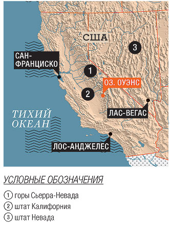 Вот в чем соль